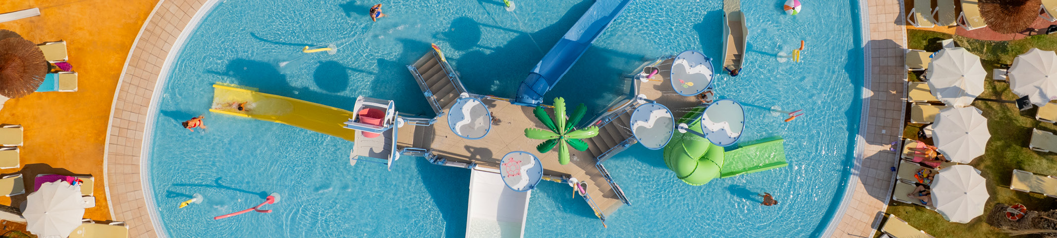 Grow in Every Project, Move Forward with Purpose